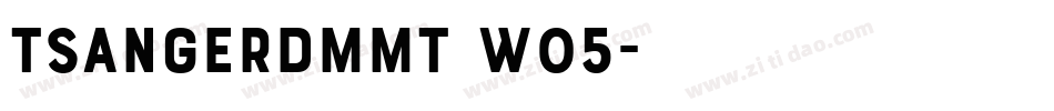 TsangerDMMT W05字体转换